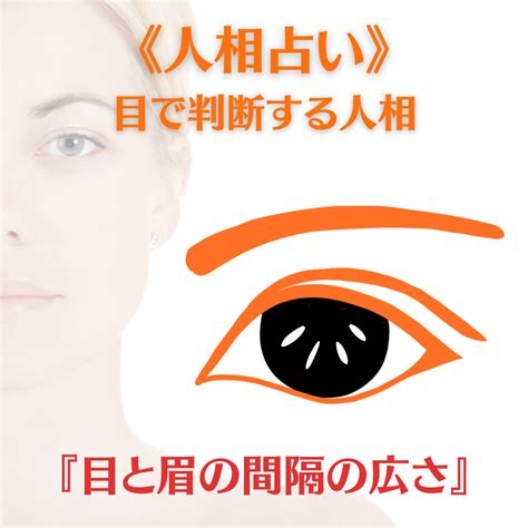 眼睛斜視 面相|目(眼)でわかる人相！目の形や特徴ごとの性格【観相。